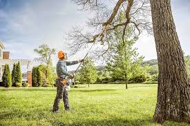 Best Soil Testing and Treatment  in Skyline Acres, OH